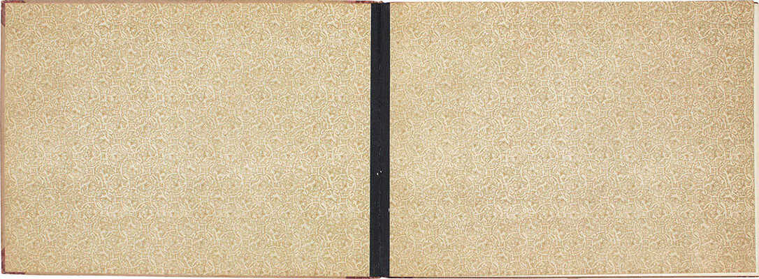 Московское первое казенное реальное училище [Альбом] / Фот. К.А. Фишер. М., [кон. XIX - нач. XX вв.].